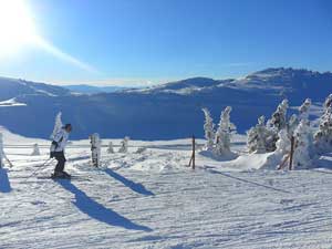 Jahorina planina - apartmani Prijatelji - Najlepše zimovanje