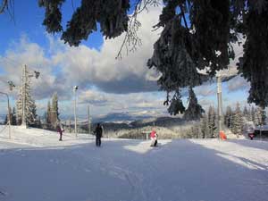 Jahorina planina - apartmani Prijatelji - Najlepše zimovanje