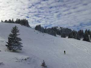 Jahorina planina - apartmani Prijatelji - Najlepše zimovanje